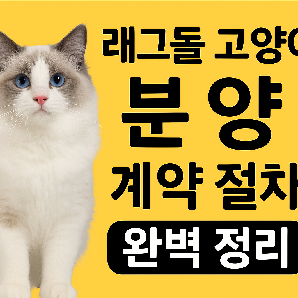 래그돌 고양이