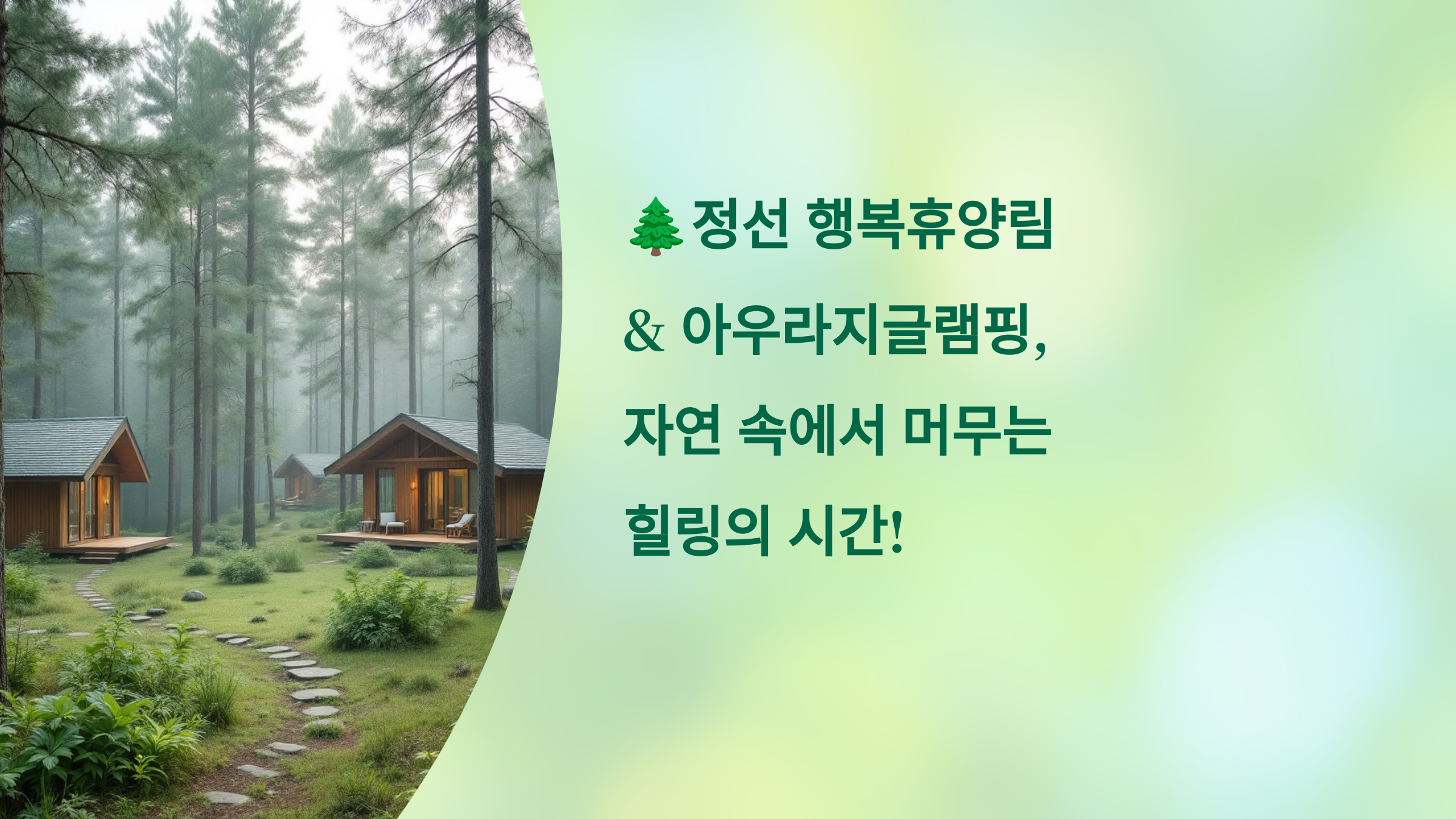 🌲정선 행복휴양림 &amp; 아우라지글램핑, 자연 속에서 머무는 힐링의 시간!