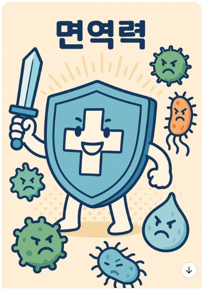 면역력