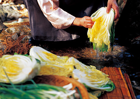 고랭지 절임배추