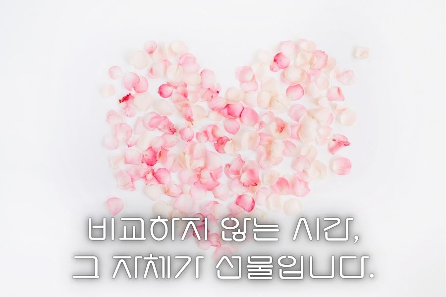 비교하지 않는 시간, 그 자체가 선물입니다.