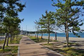 여름 경주 가볼만한곳 베스트 10 후기