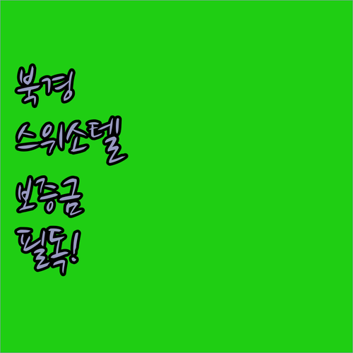 북경 스위소텔 예약 전 필수 체크리스..