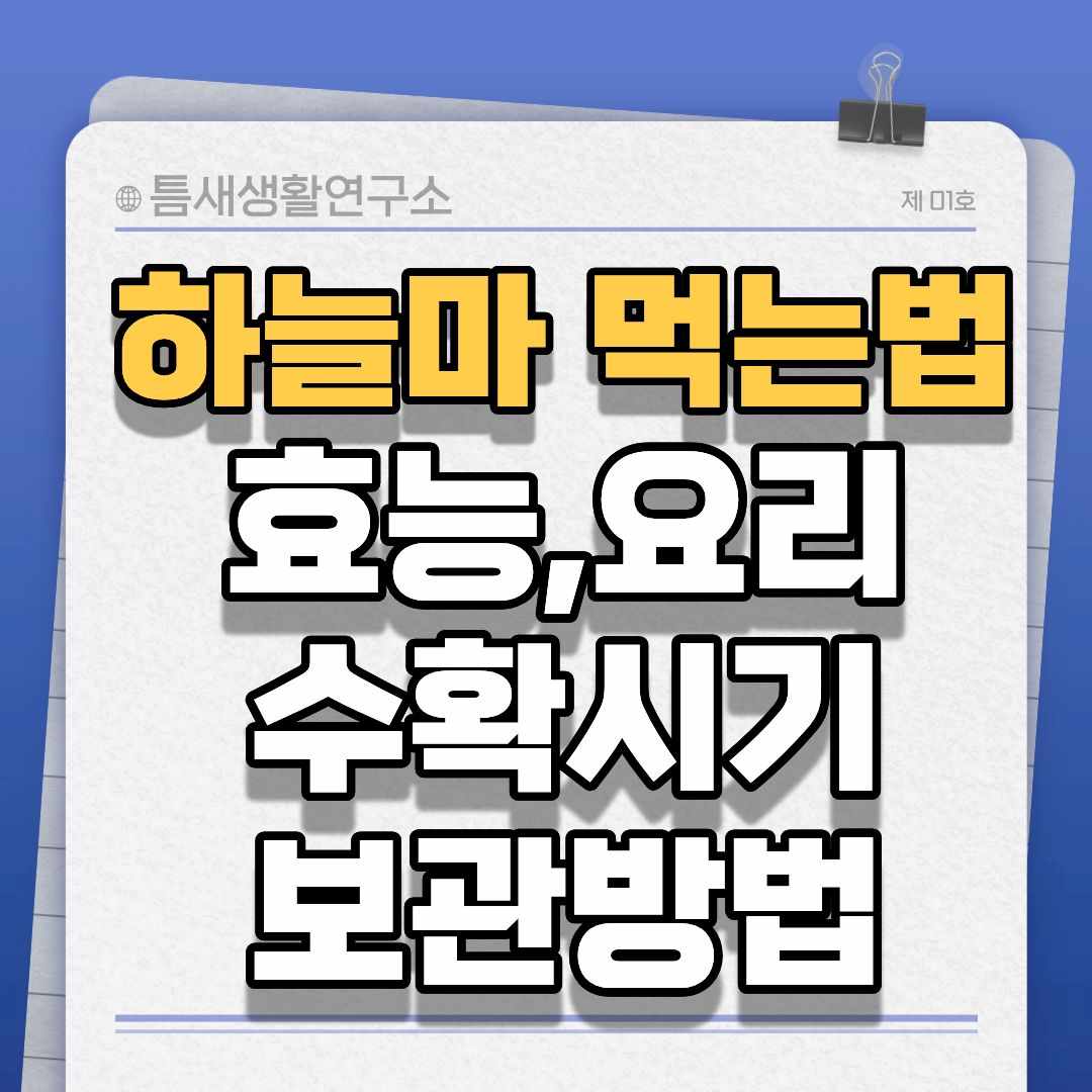 하늘마먹는법-썸네일