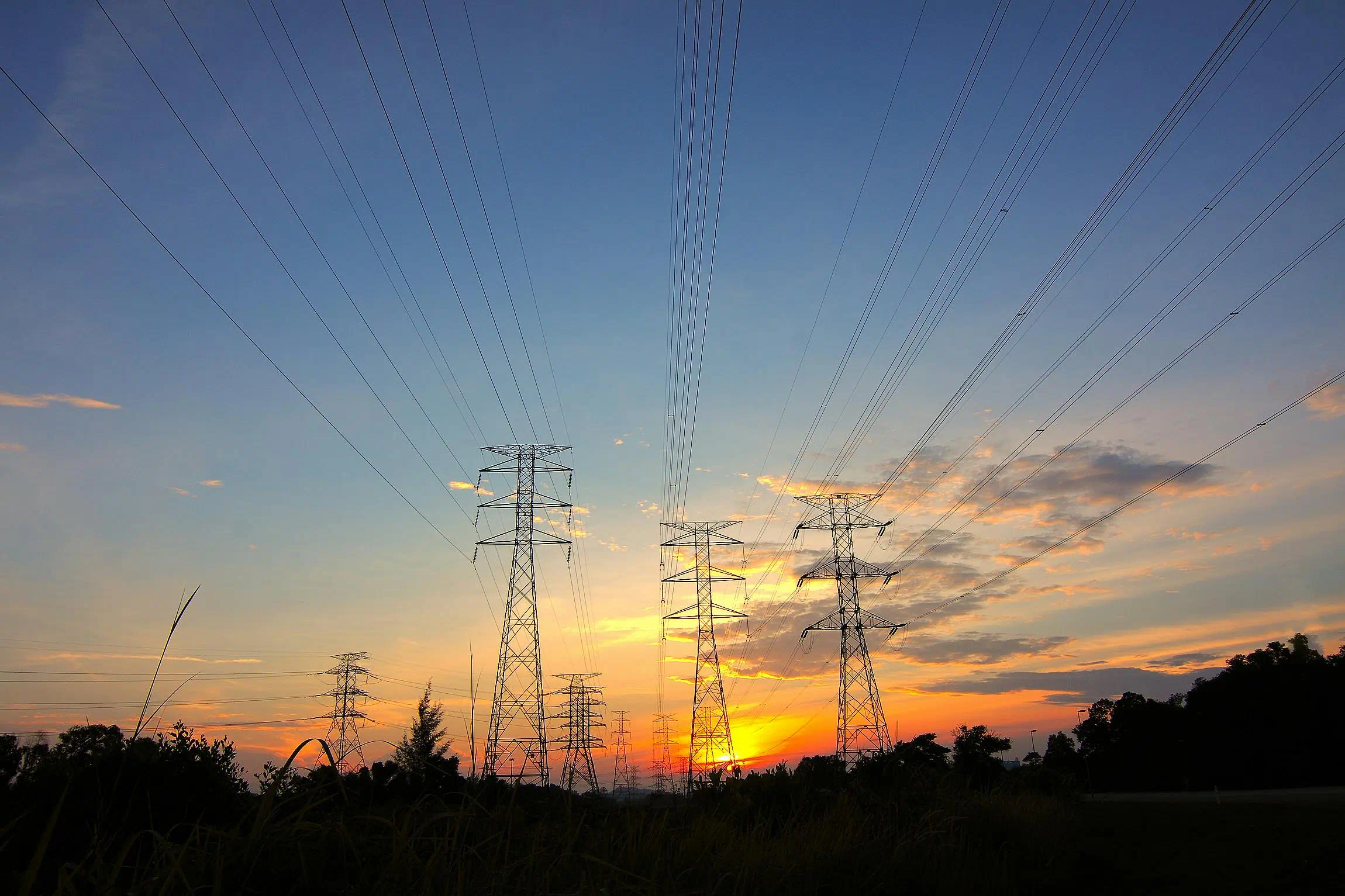전봇대 3개와 각각 연결되어있는 전기줄의 모습