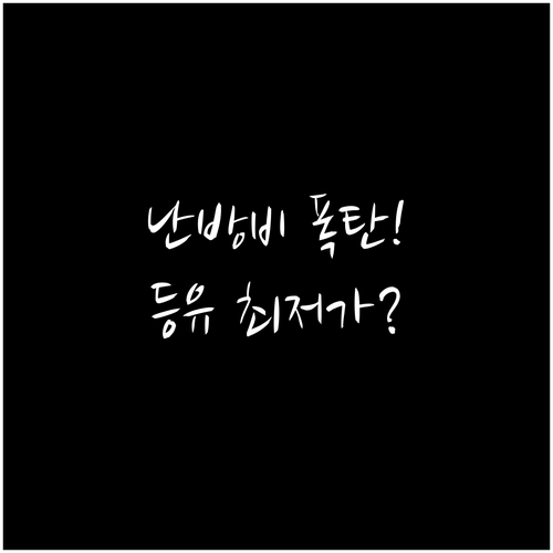 난방비 절감 오피넷 활용 등유 최적 ..