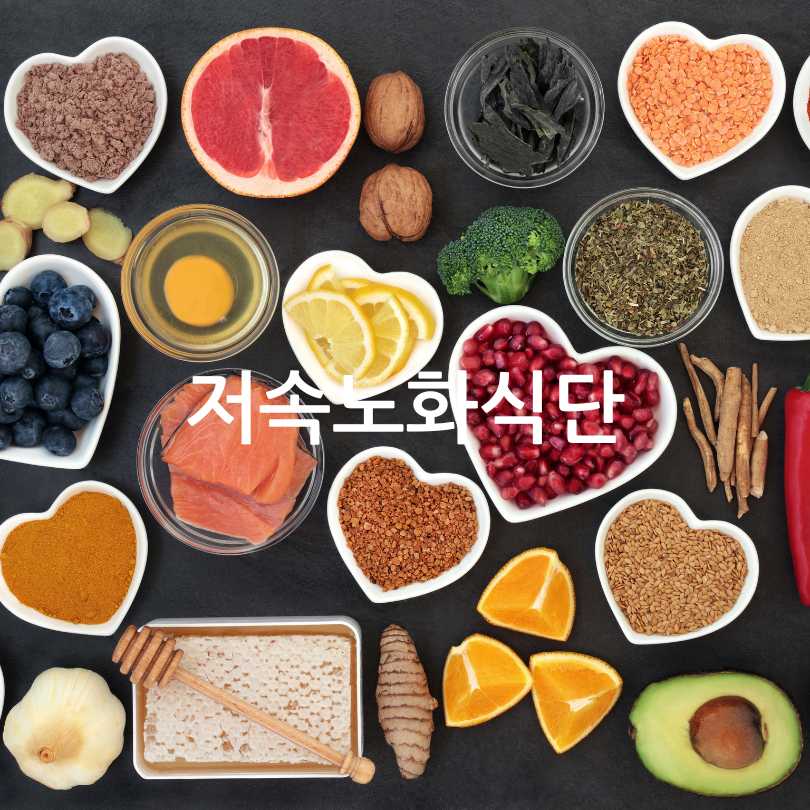 저속노화식단
