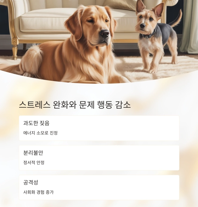 아침저녁 정해진 시간에 산책하는 강아지, 놀라운 변화의 시작