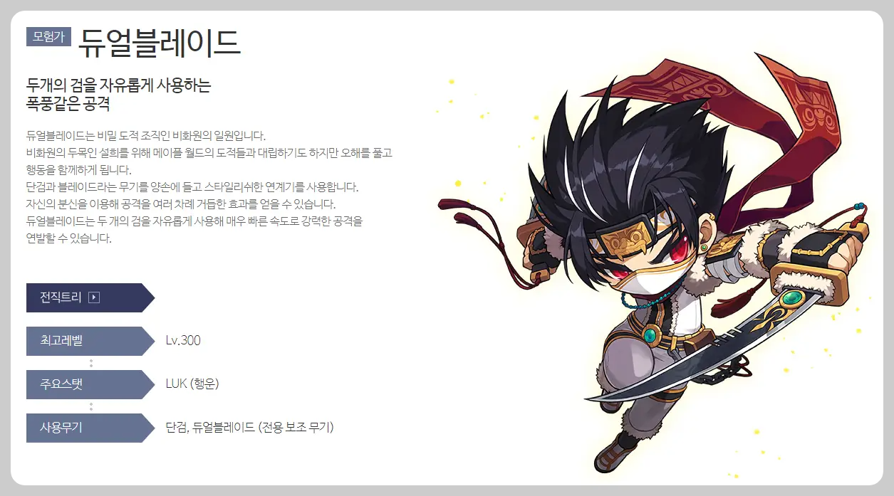 메이플스토리 듀얼블레이드