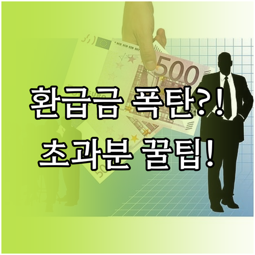 병원비 초과분 돌려받는 국민건강보험 ..
