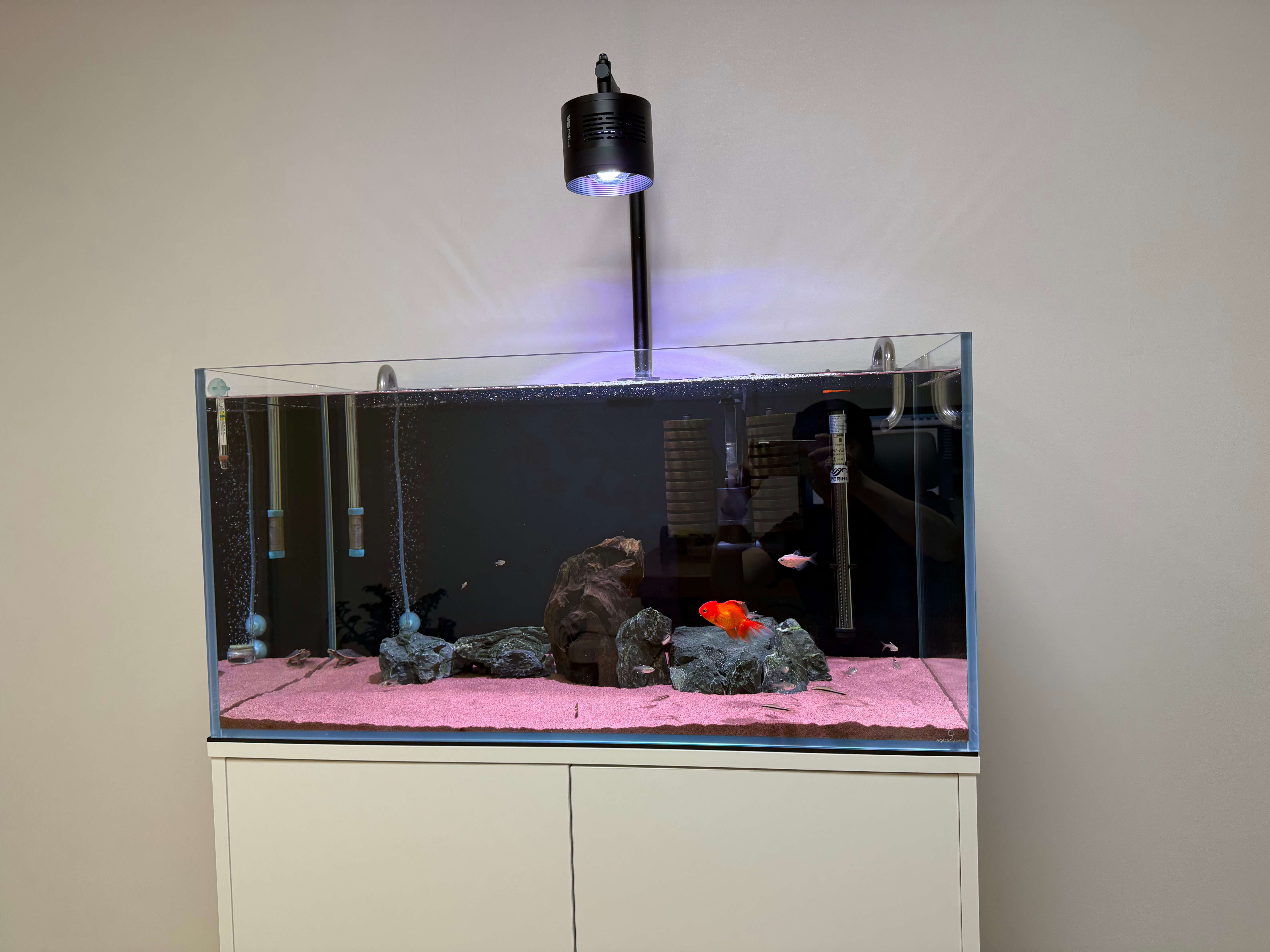 어항 히터 전기세