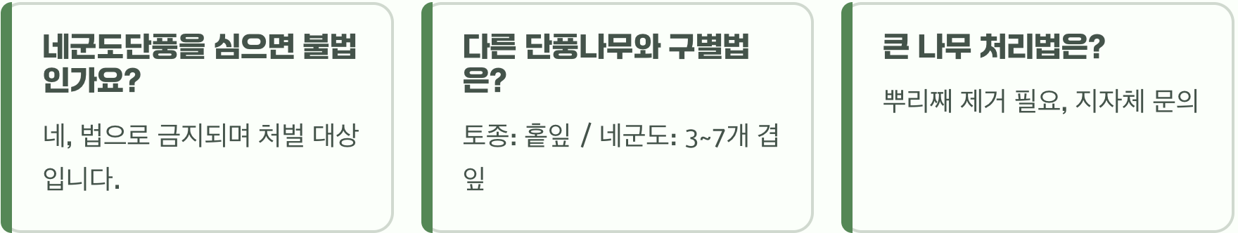네군도단풍, 함부로 심으면 큰일 나는 이유 (생태계 교란종)