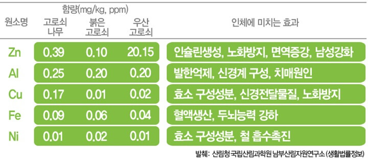 고로쇠물-효능
