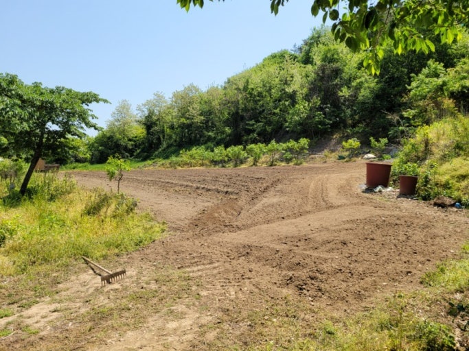 서리태 심기전 밭 준비
