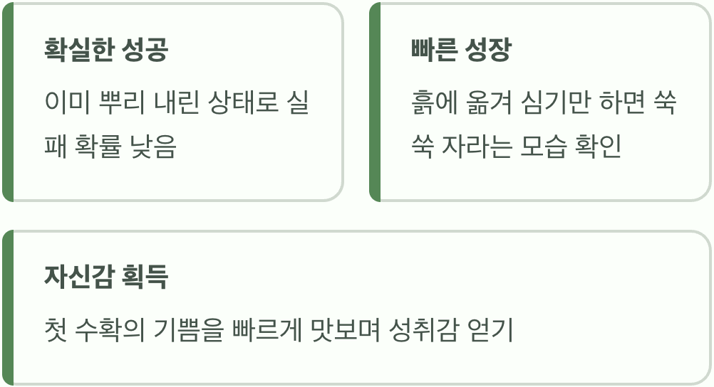 초보라면 모종으로, 실패 없는 시작