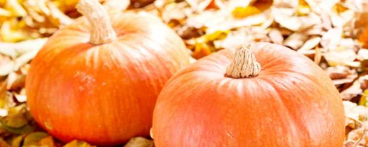 콩팥에 좋은 음식 - 늙은 호박