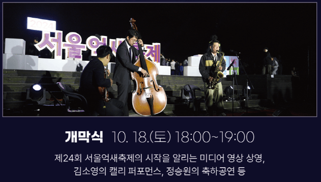 가을 감성 폭발! 제24회 서울억새축제 일정·볼거리·야경 포인트 정리