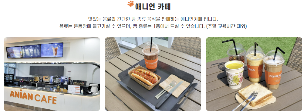 울산 애니언파크