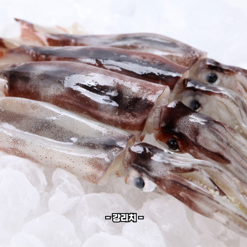 오징어 삶는 방법