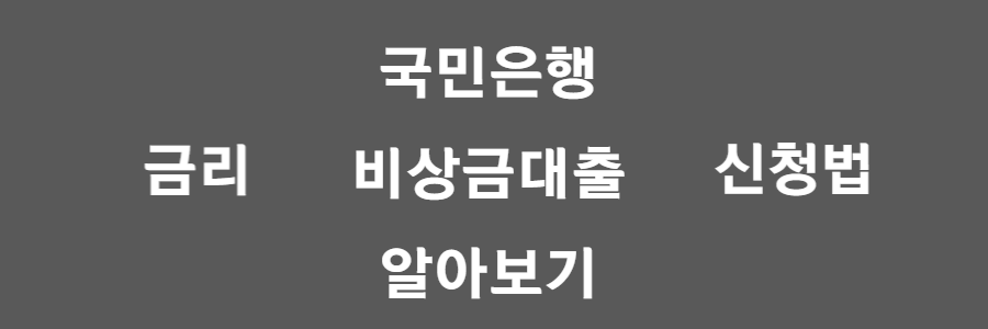 국민은행 비상금대출