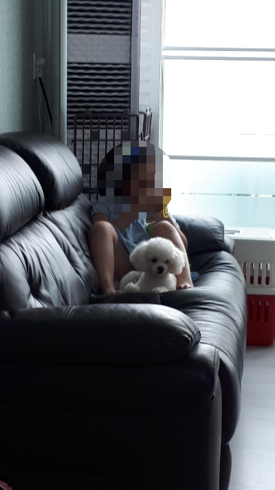 강아지 혼자 집에 있을 때 준비해야 할 것들
