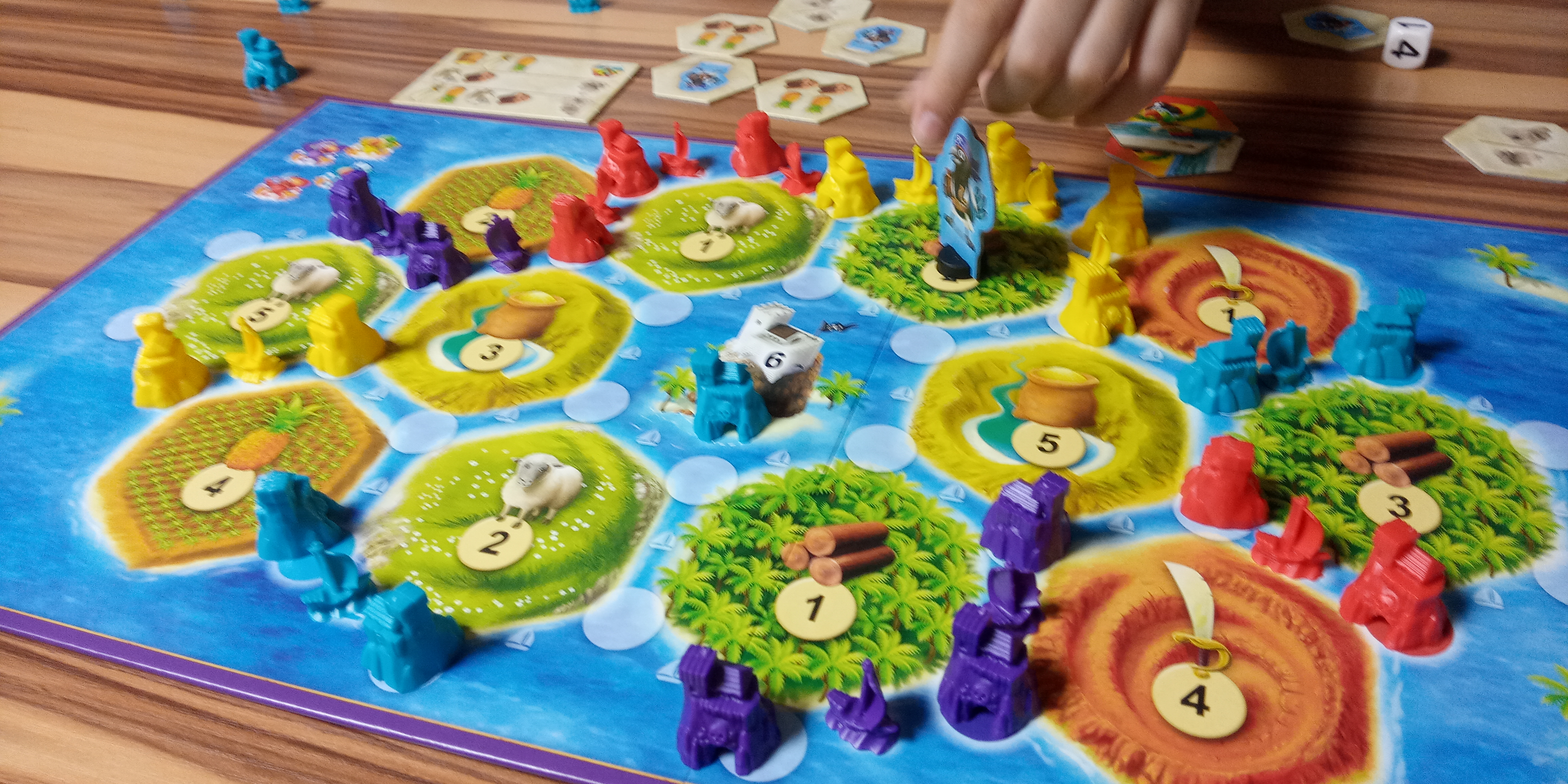 CATAN 카탄 (주니어) 게임하는 모습2