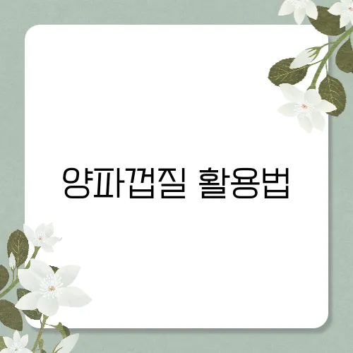 양파껍질 활용법