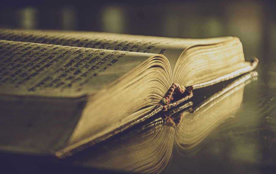 게임 스토리텔링과 관련된 사진