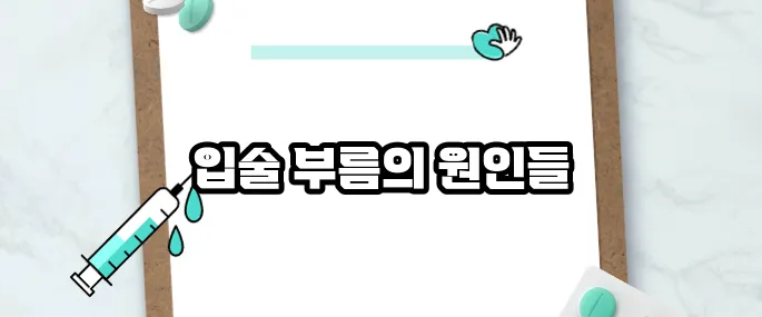 입술이 부르트는 이유