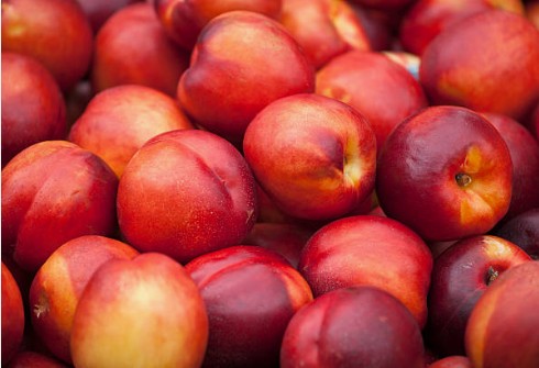 신비복숭아 후숙 보관 방법과 칼로리 효능과 먹는법