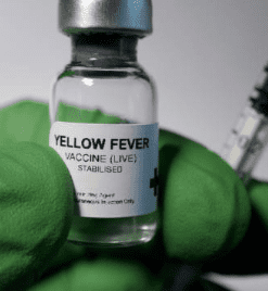 대상포진 예방접종 가격