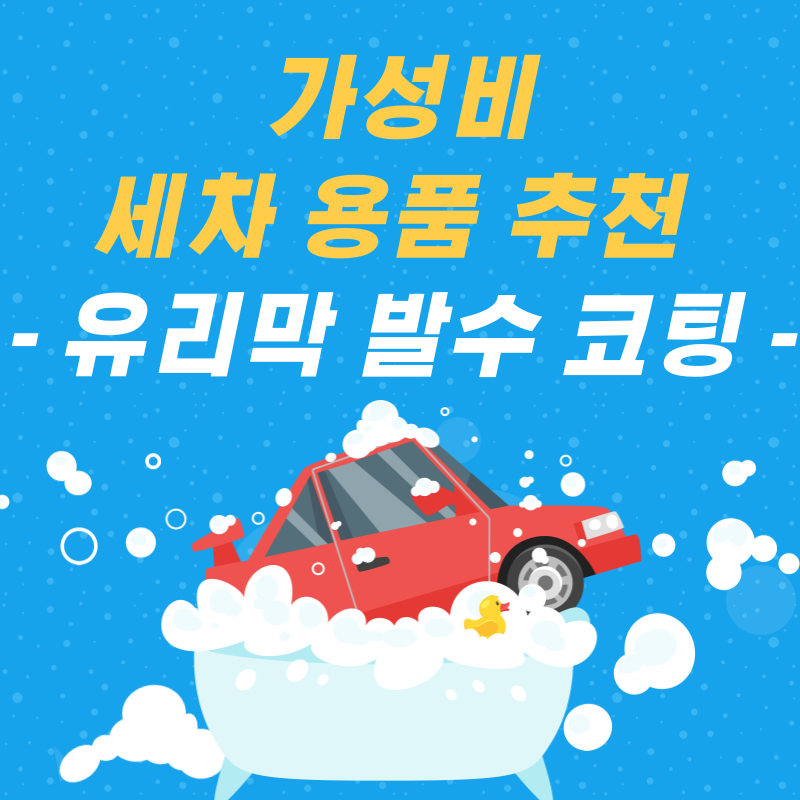세차용품 추천