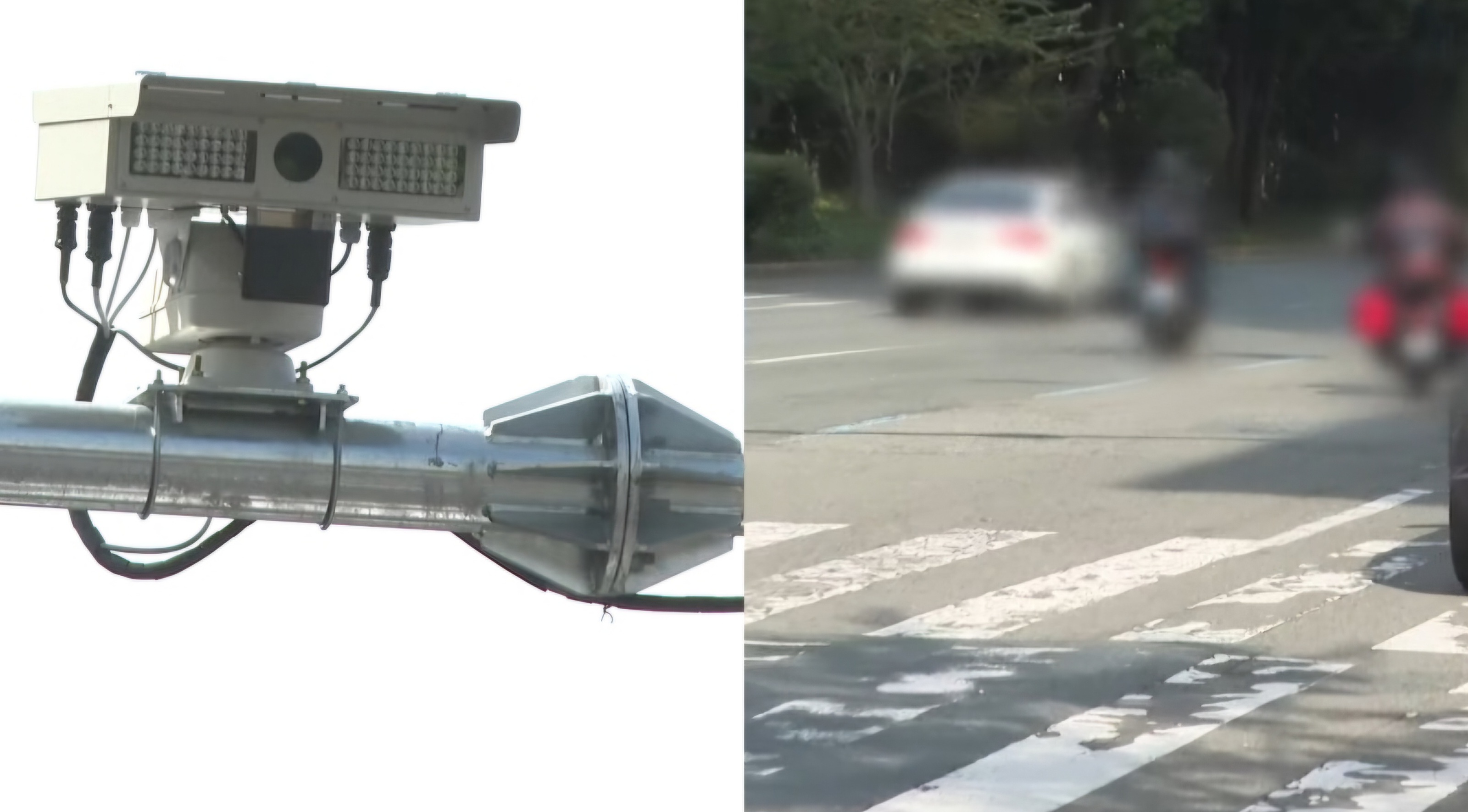 후면단속카메라의 위반사항 단속