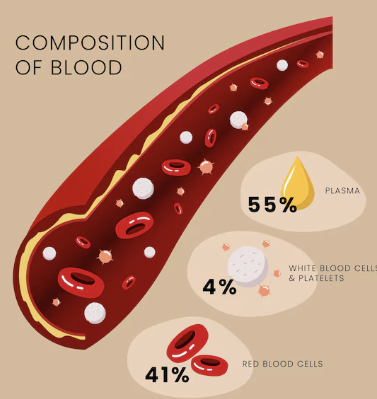 대장암 초기증상 10