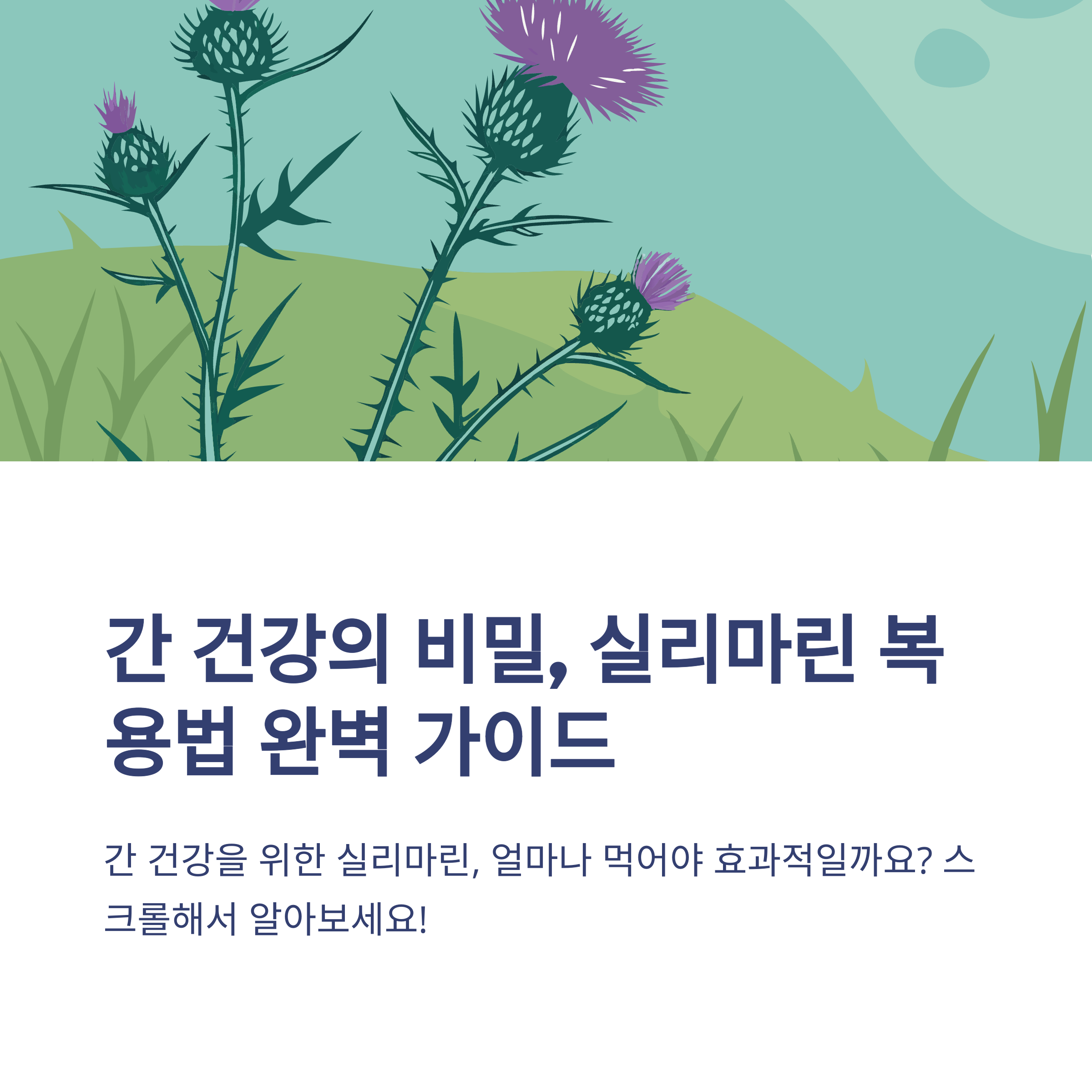간 기능 회복을 위한 실리마린 섭취법