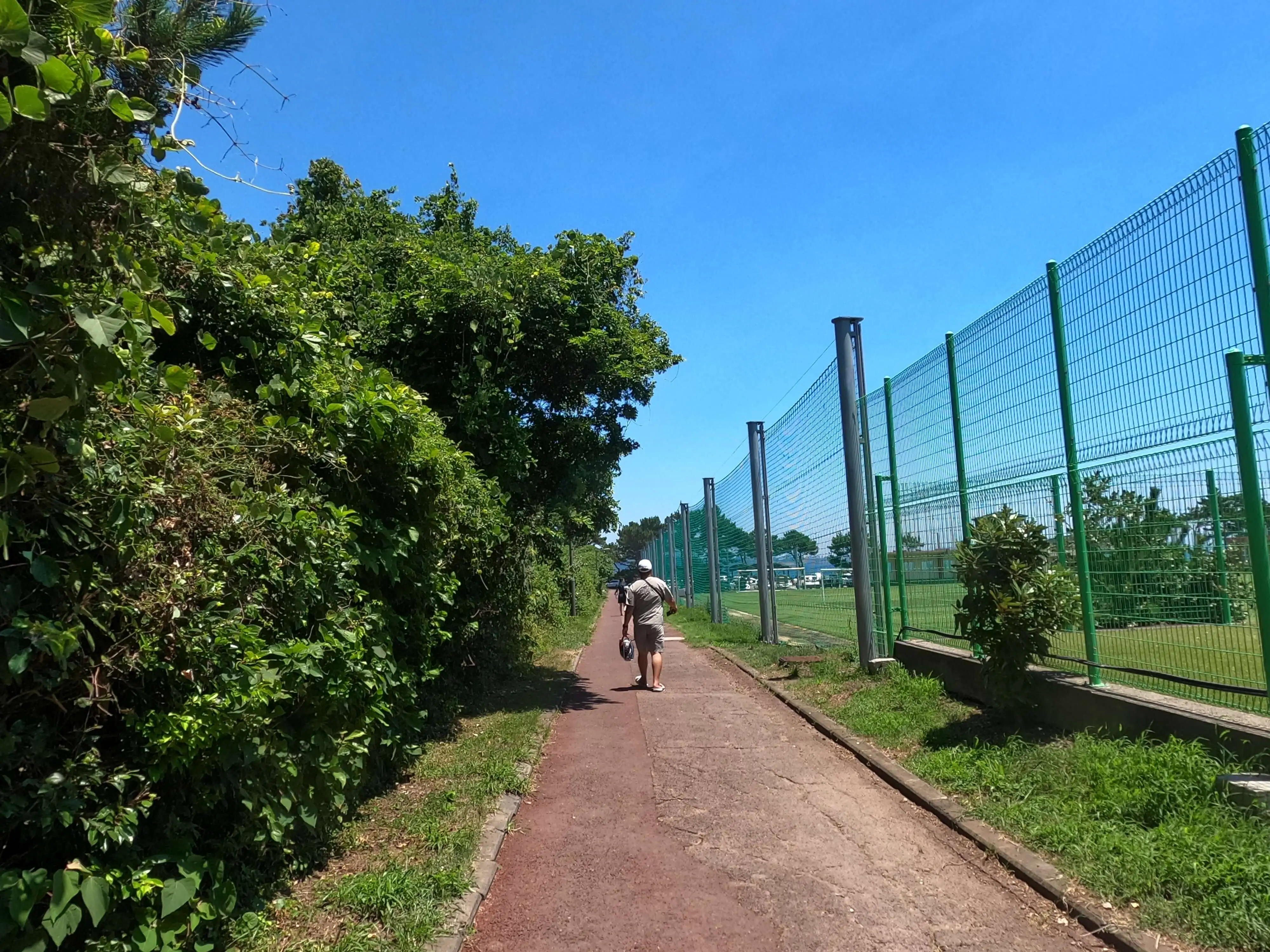 서귀포 도릿발 바다 전경 – 초보자도 즐길 수 있는 무료 스노클링 명소