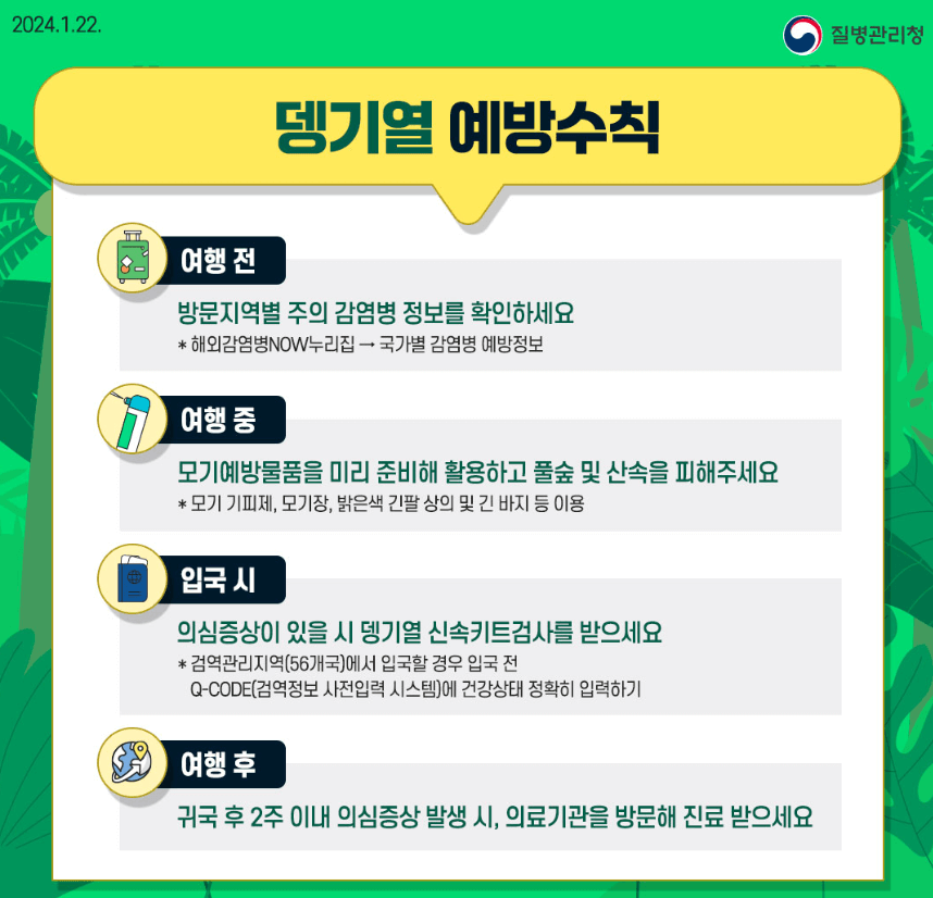 뎅기열 증상