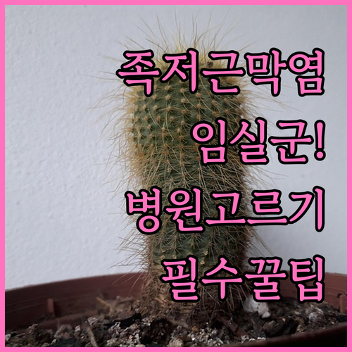 임실군 족저근막염 병원 고르는 법과 ..