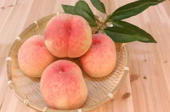 복숭아 보관방법과 싱싱하게 유지하는 팁_2