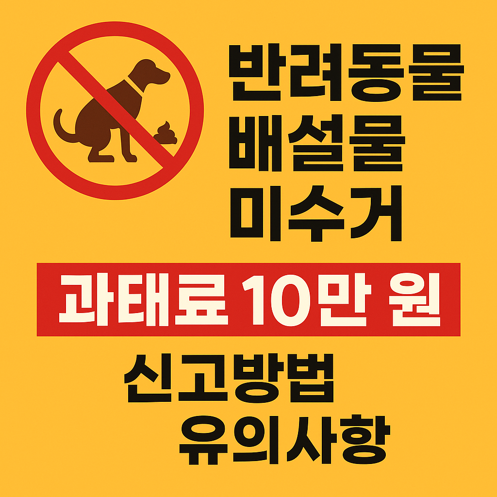 반려동물 배설물 미수거 과태료, 신고방법부터 유의사항까지 완벽정리