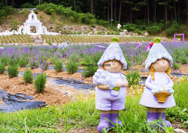 7월 축제 가볼만한곳 10곳