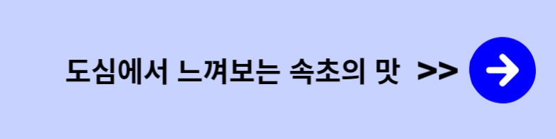 여행-갈만한곳-여름휴가