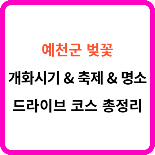예천군 벚꽃 개화시기 축제 명소 드라이브 코스 총정리