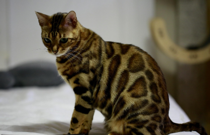 FAQ - 자주 묻는 질문 관련 사진