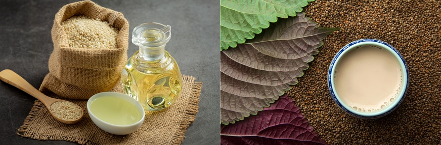 자루와 숟가락에 담긴 참깨, 병과 그릇에 담긴 참기름과 들깨와 깻잎, 그리고 그릇에 담긴 들깨즙 사진 - 태양인(太陽人)에게 맞는 음식