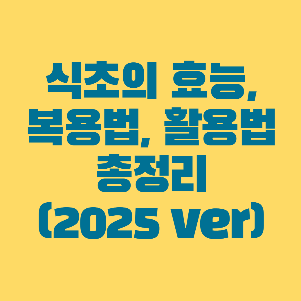 식초의 효능, 복용법, 활용법 총정리 (2025 ver)
메인 키워드