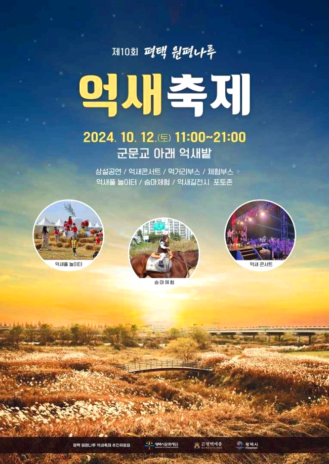 억새축제