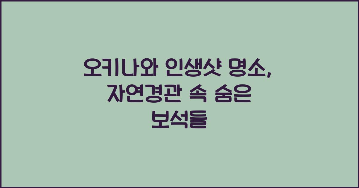 오키나와 인생샷 명소