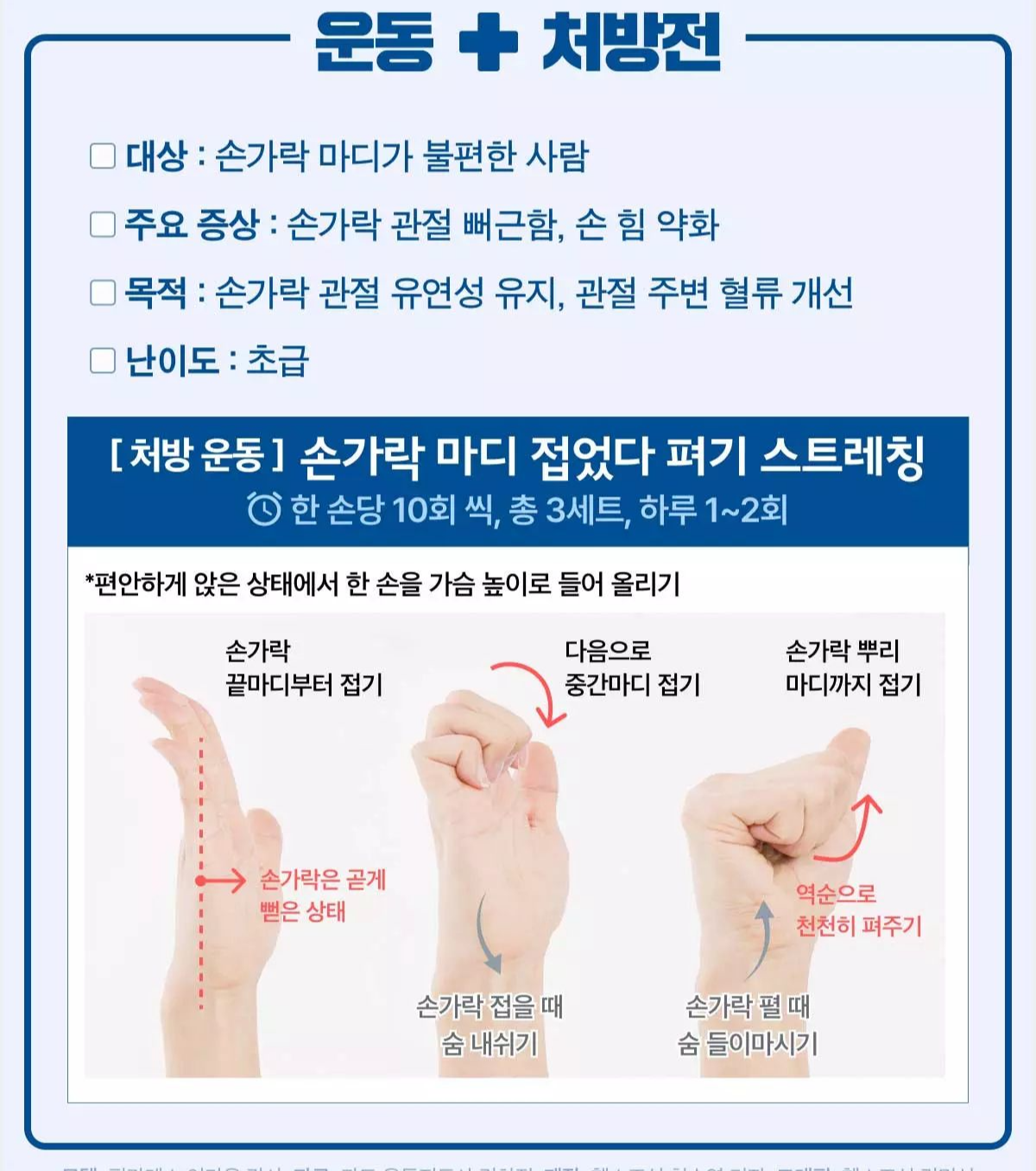 손가락 스트레처 추천 최종 정리 비교