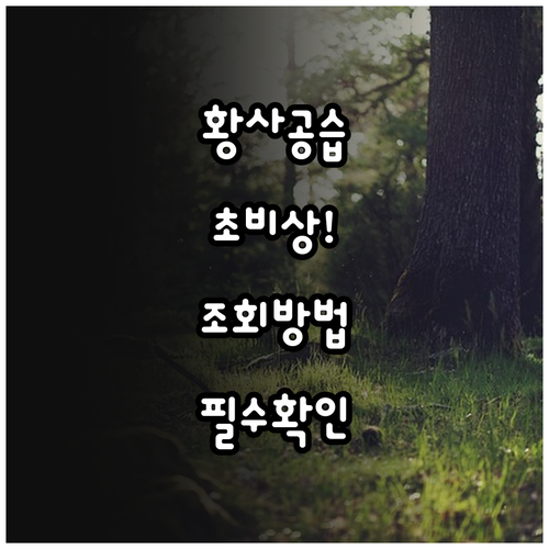 에어코리아 황사 특보 확인 및 실시간..
